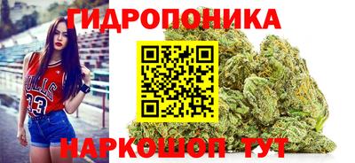 СК Балахна