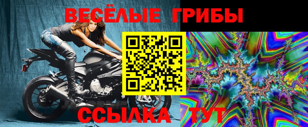 Губкинский  Гашиш  МАРИХУАНА  Меф кристаллы  Вход с VPN  Марихуана 