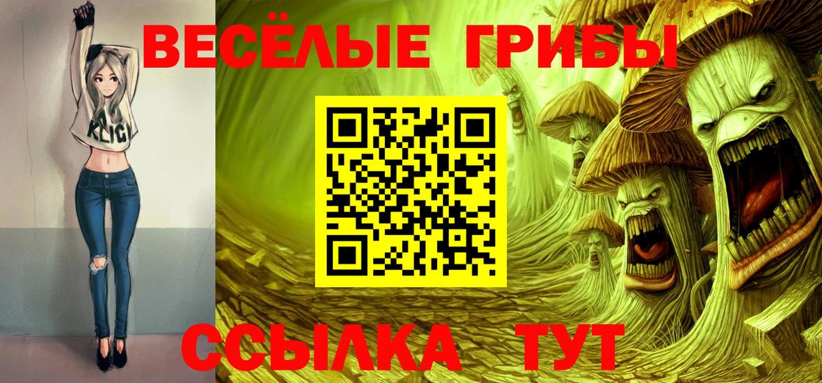 Псилоцибиновые грибы GOLDEN TEACHER Губкинский