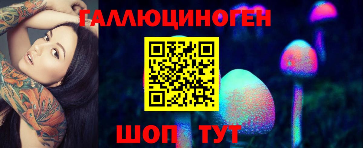 Псилоцибиновые грибы GOLDEN TEACHER  Вход с VPN  Галлюциногенные грибы GOLDEN TEACHER  Губкинский 